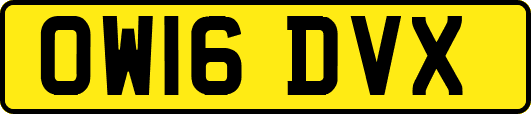 OW16DVX