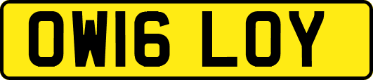 OW16LOY