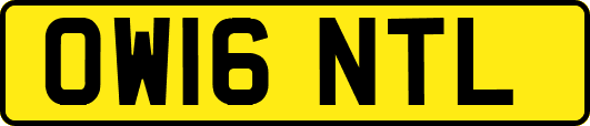 OW16NTL