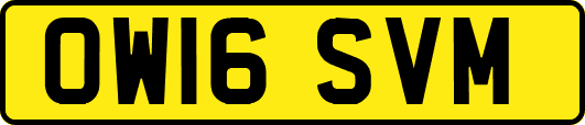 OW16SVM