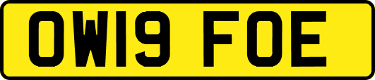 OW19FOE
