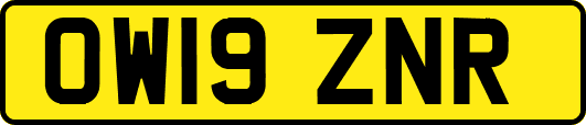 OW19ZNR