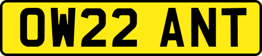 OW22ANT