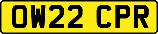 OW22CPR
