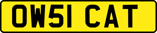 OW51CAT