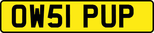 OW51PUP