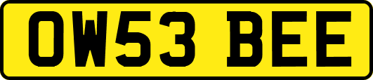 OW53BEE