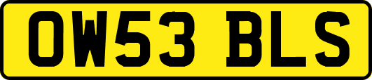 OW53BLS