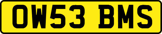 OW53BMS