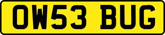 OW53BUG