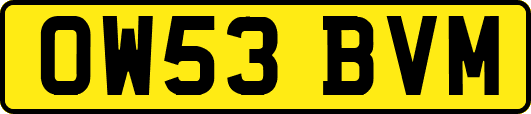 OW53BVM