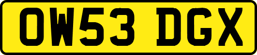 OW53DGX