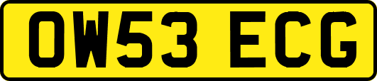 OW53ECG