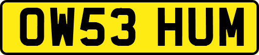 OW53HUM