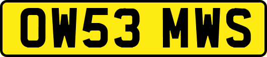 OW53MWS