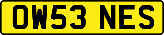 OW53NES