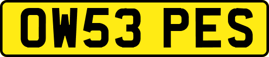 OW53PES