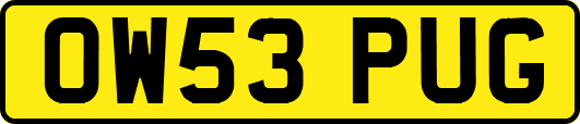 OW53PUG
