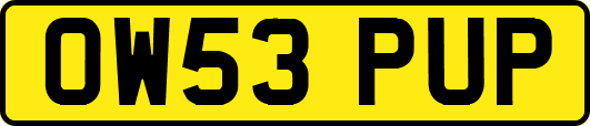 OW53PUP