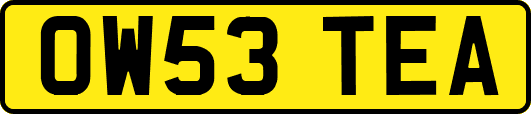 OW53TEA