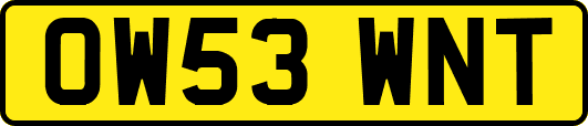 OW53WNT