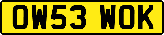 OW53WOK
