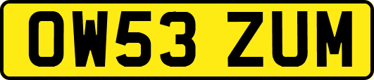 OW53ZUM