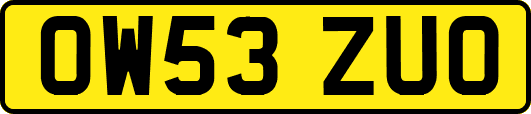 OW53ZUO