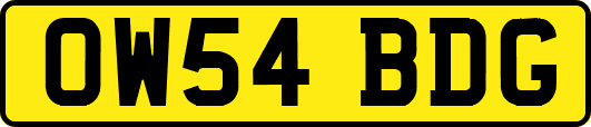 OW54BDG