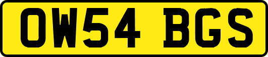 OW54BGS