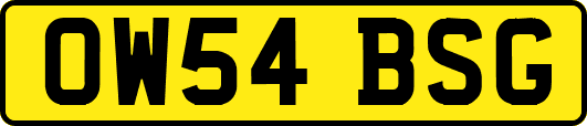 OW54BSG