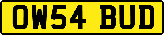 OW54BUD