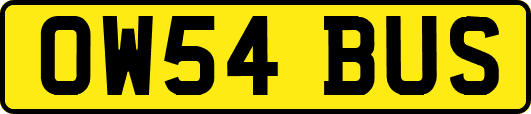 OW54BUS