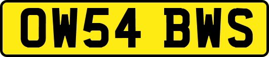 OW54BWS