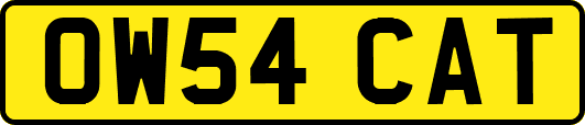 OW54CAT