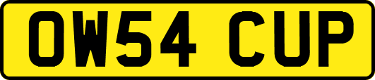 OW54CUP