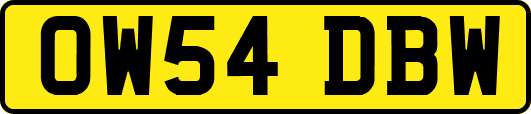 OW54DBW