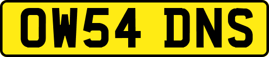 OW54DNS