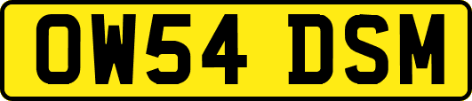 OW54DSM