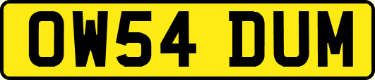 OW54DUM