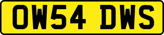 OW54DWS