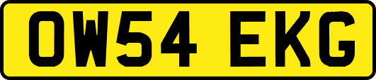 OW54EKG