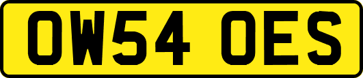OW54OES