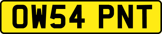 OW54PNT