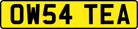 OW54TEA
