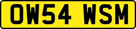 OW54WSM