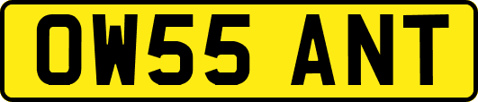 OW55ANT