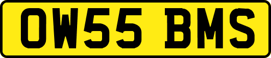 OW55BMS