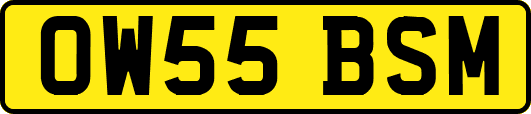 OW55BSM
