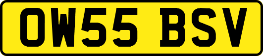 OW55BSV